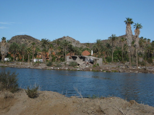 Baja2012-1077_6a5f8bc12e7cc86fcc91ba21454dcedd8d784b8d.jpg