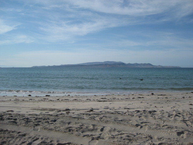 Baja2012-1253_bfce8e7ed5de911eb1c82e471b4abd976821bc28.jpg