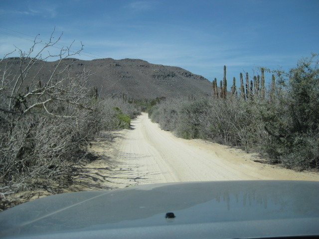 Baja2012-1265_2327a563218a223ac6d58cc0aaff62a8f0b9d7bf.jpg