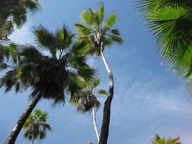 Baja2012-1268_38b08d9d398460a10053c76ce0cfc9882b52686e.jpg