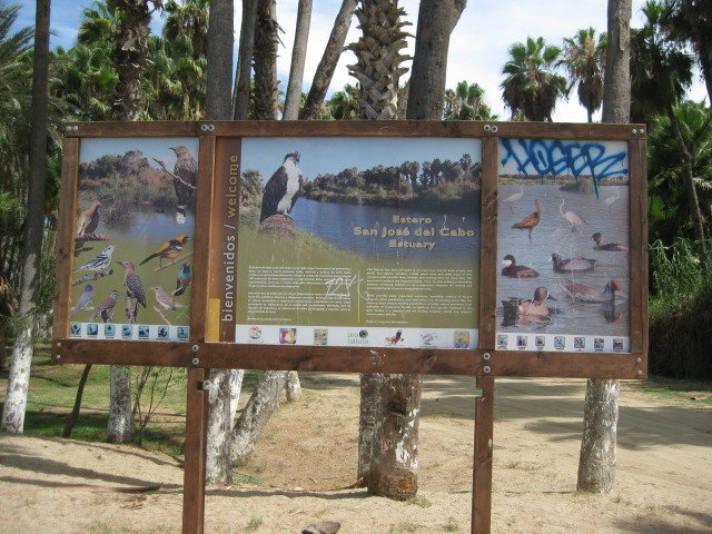 Baja2012-1382_8f7444b026865c2eb9d064342eebd9caacaf32ae.jpg