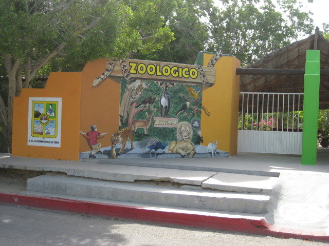 Baja2012-1400_e7f0233f930fc83aaca5cdb64635a892141cc774.jpg