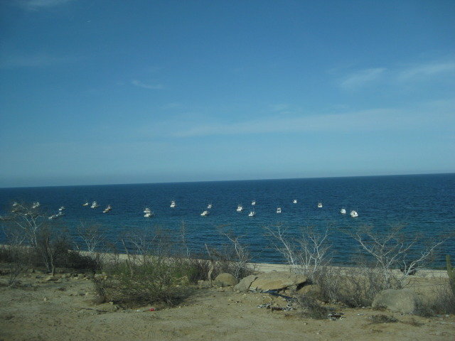 Baja2012-1432_82b79d90c77520e22bbb2a0e3c5acf6f2c8f86d7.jpg