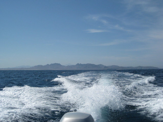 Baja2012-1461_e008c99f250a471792b9955fc83434e356ff3e81.jpg
