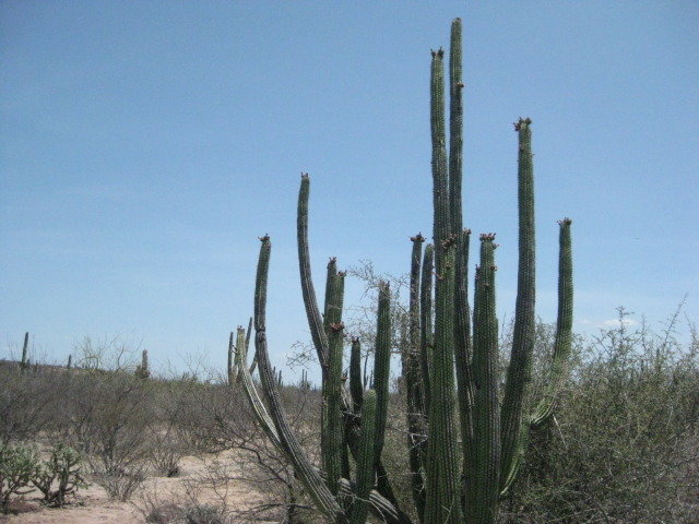 Baja2012-2028_e7486bc3ff2410a8ad476730c8576d6df4842c51.jpg