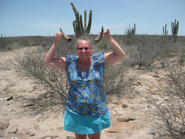Baja2012-2032_1dc4ae4d9e6c5867b73bb8e04ae7b6f9eeb2d1fd.jpg