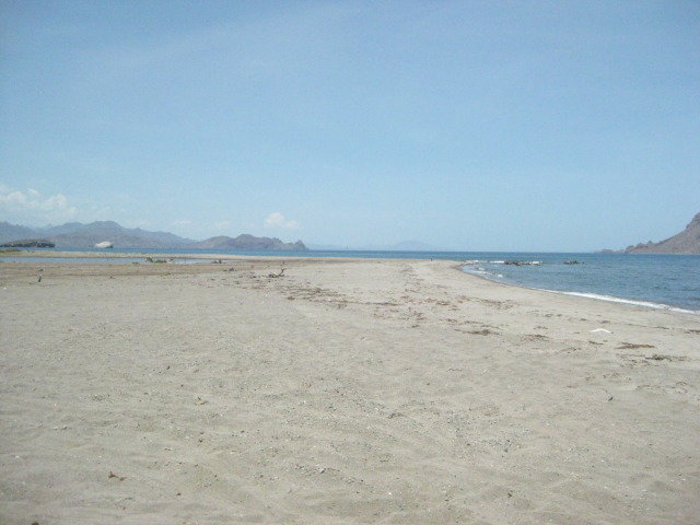 Baja2012-2066_1a5766c8aee4b2d6e0907fb0dc62556a5c8e560c.jpg