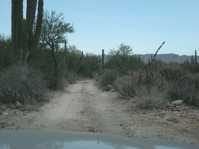 Baja2012-2097_7b3a5254e73c9661557999130f761821b557af26.jpg