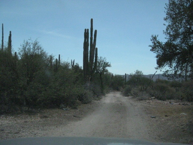 Baja2012-2098_14f5a8a289d8c220e526dd8291ee4a04166b412a.jpg