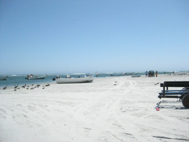 Baja2012-2176_4140818a2c5ee825f6be7eb7bec2903cc1f3eccc.jpg