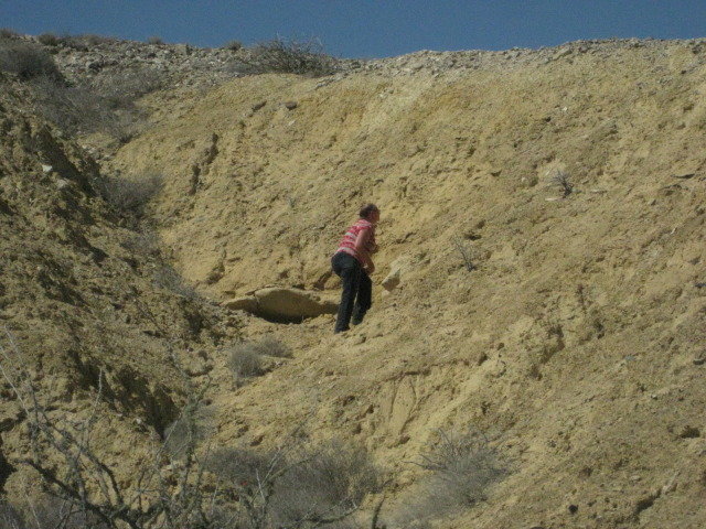 Baja2012-2229_5cfbf512250404eb2b663a1cf24c1d39b6949429.jpg