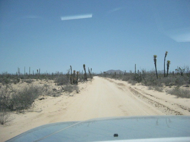 Baja2012-2251_a6bf067037b631231ea73a69a6d52474fea85dc6.jpg
