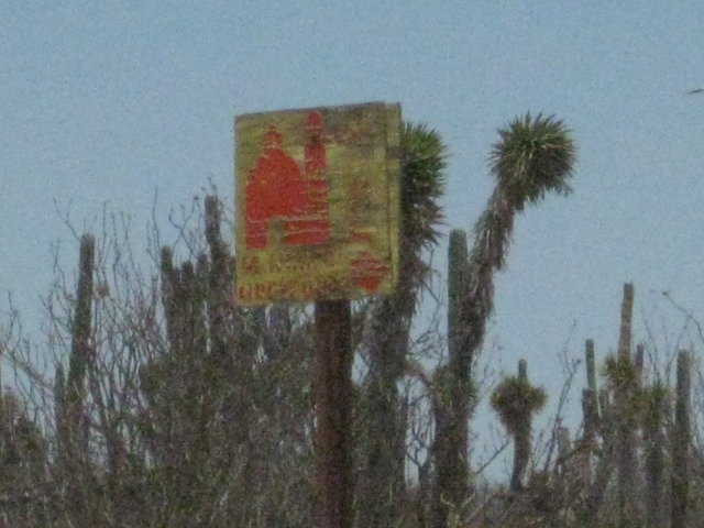 Baja2012-2259_fce7c0300fa9f2b0339ca4fea67331b7d01e7cd5.jpg