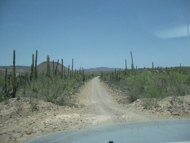 Baja2012-2260_66f82a02ca0ae8eb50cfc1014f71e360d59b4704.jpg