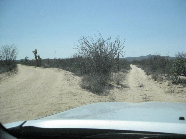 Baja2012-2295_55da28b6d0d80322b5cbd9098cdbde58bc6626fe.jpg