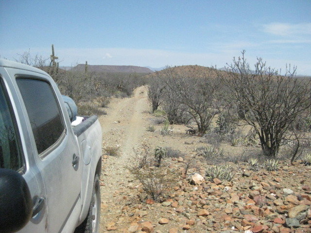Baja2012-2296_107f1644b74d28c55bd103c25929594668b58a29.jpg