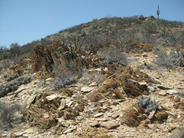 Baja2012-2297_024772c0d4662f8cc9904a2604a444c4e7d5c6bd.jpg