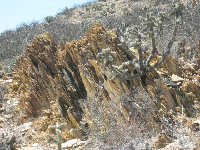 Baja2012-2298_a3281f7f550a2a51b2fa1c98226debb9bda0c884.jpg