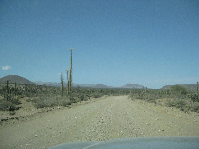 Baja2012-2336_84e10aa1d0ee0df4b20bcb721839403e91ca8719.jpg
