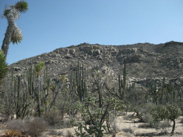 Baja2012-2340_838e0e716d9e4df711711681cf386f4334abe107.jpg
