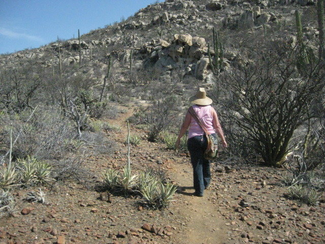 Baja2012-2343_2a1aacd4be0cbefee73d222138479c8c21122d9b.jpg
