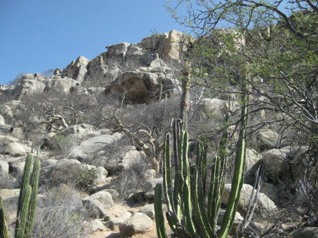 Baja2012-2346_7ad15231b800731a4fac86ccefd429d642d99566.jpg
