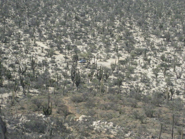 Baja2012-2348_edb29b1ac4bdf1b6f072784b9151e102ad290cb7.jpg