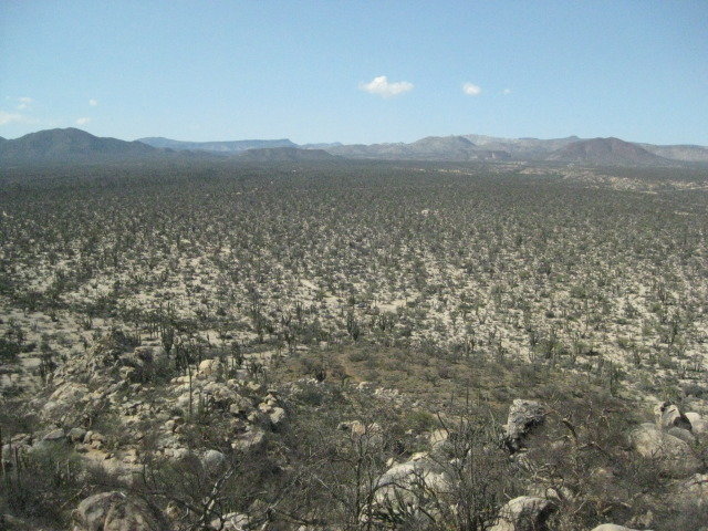 Baja2012-2373_5a627137449de5623c2ddfff8ec0489c7efbcdd3.jpg