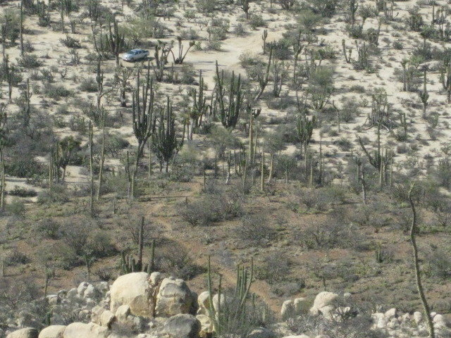 Baja2012-2390_458674523c899280209186cce82cc9384000b9e3.jpg