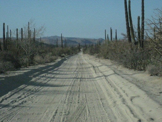 Baja2012-2409_5d0fcba23a4105ee4218421041811db28cf97d54.jpg