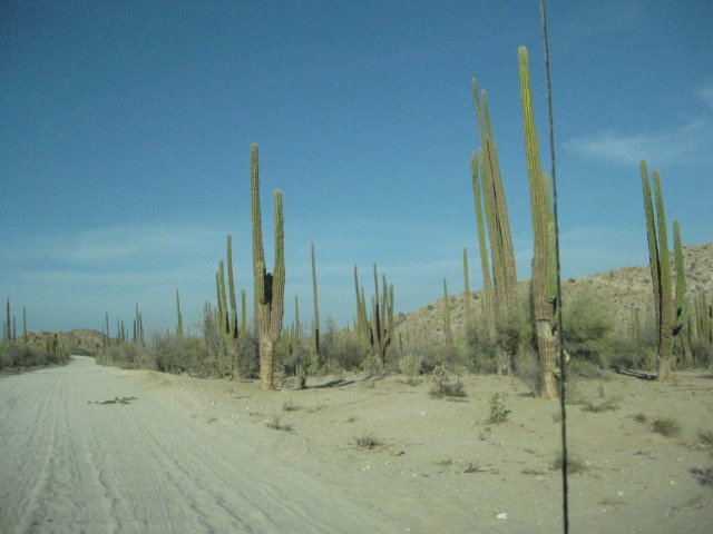 Baja2012-2412_991372a8e41a5c895f30f4f3f76e55558c8a89fd.jpg
