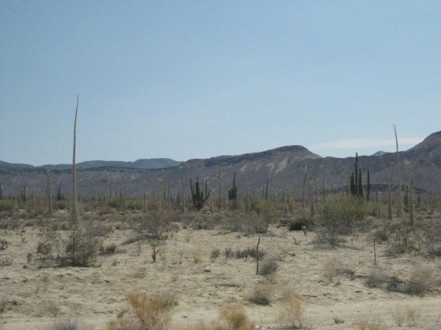 Baja2012-2473_25a11cc2131f9c9abd16f3a36be83324a15f9776.jpg