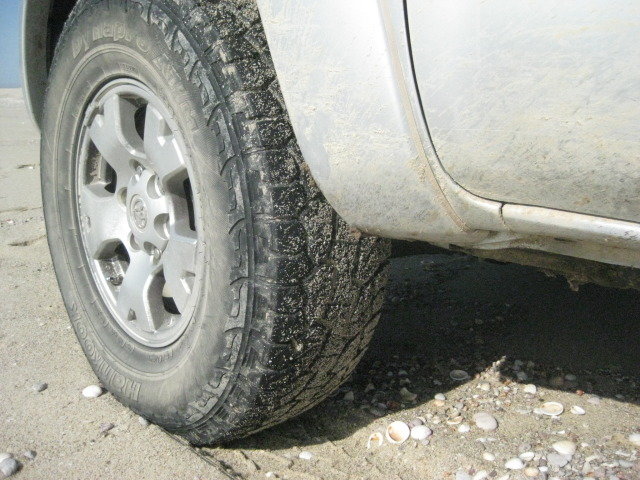 Baja2012-2499_dae980cf47dd1c1b671e88bdac763d85cb5b28fc.jpg