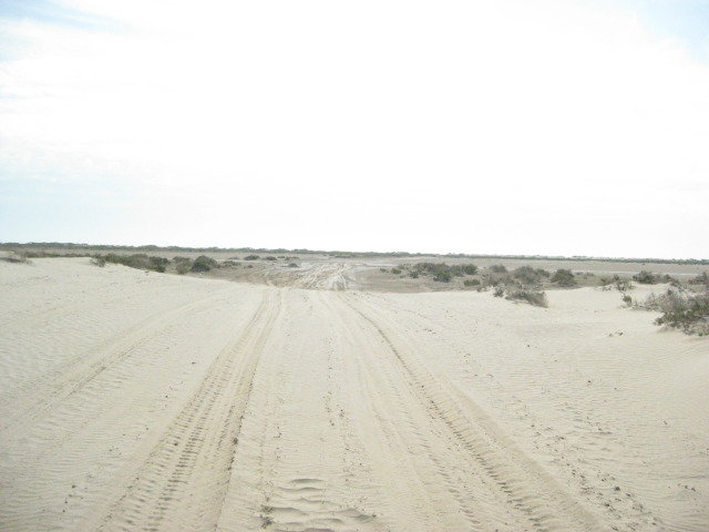 Baja2012-2502_b1ead839af1014cdad7d55d92bf061d9e1b20d76.jpg