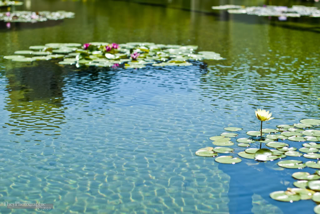 Balboa_016-1_1f9cd38e76a4d119b896c620e14bec575d0c06d7.jpg