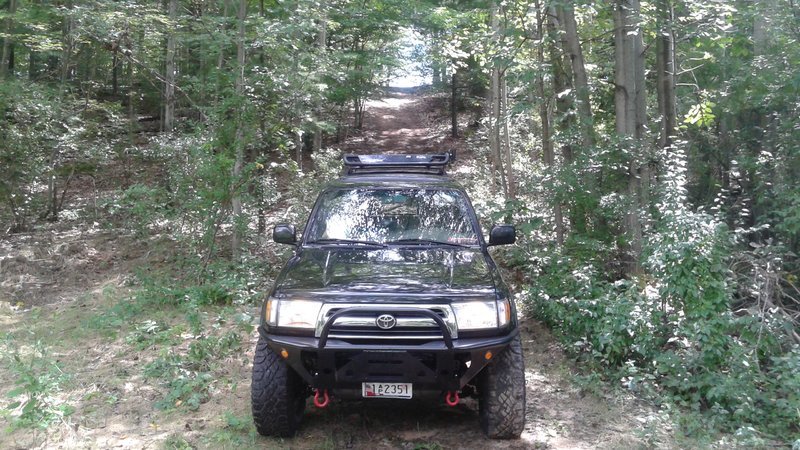 Bald eagle 4runner, bicycle & Buttercup 012.jpg
