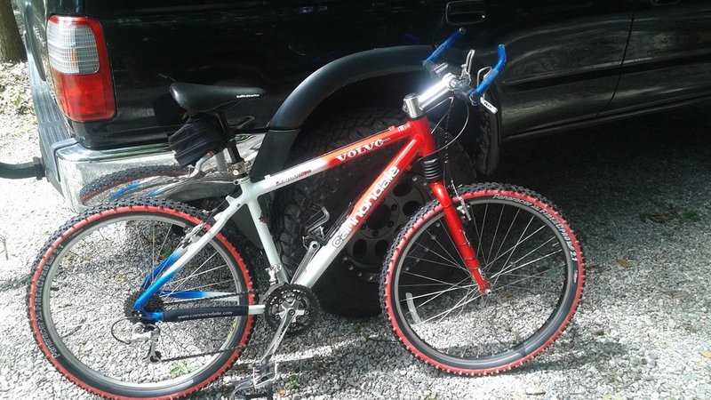 Bald eagle 4runner, bicycle & Buttercup 044.jpg