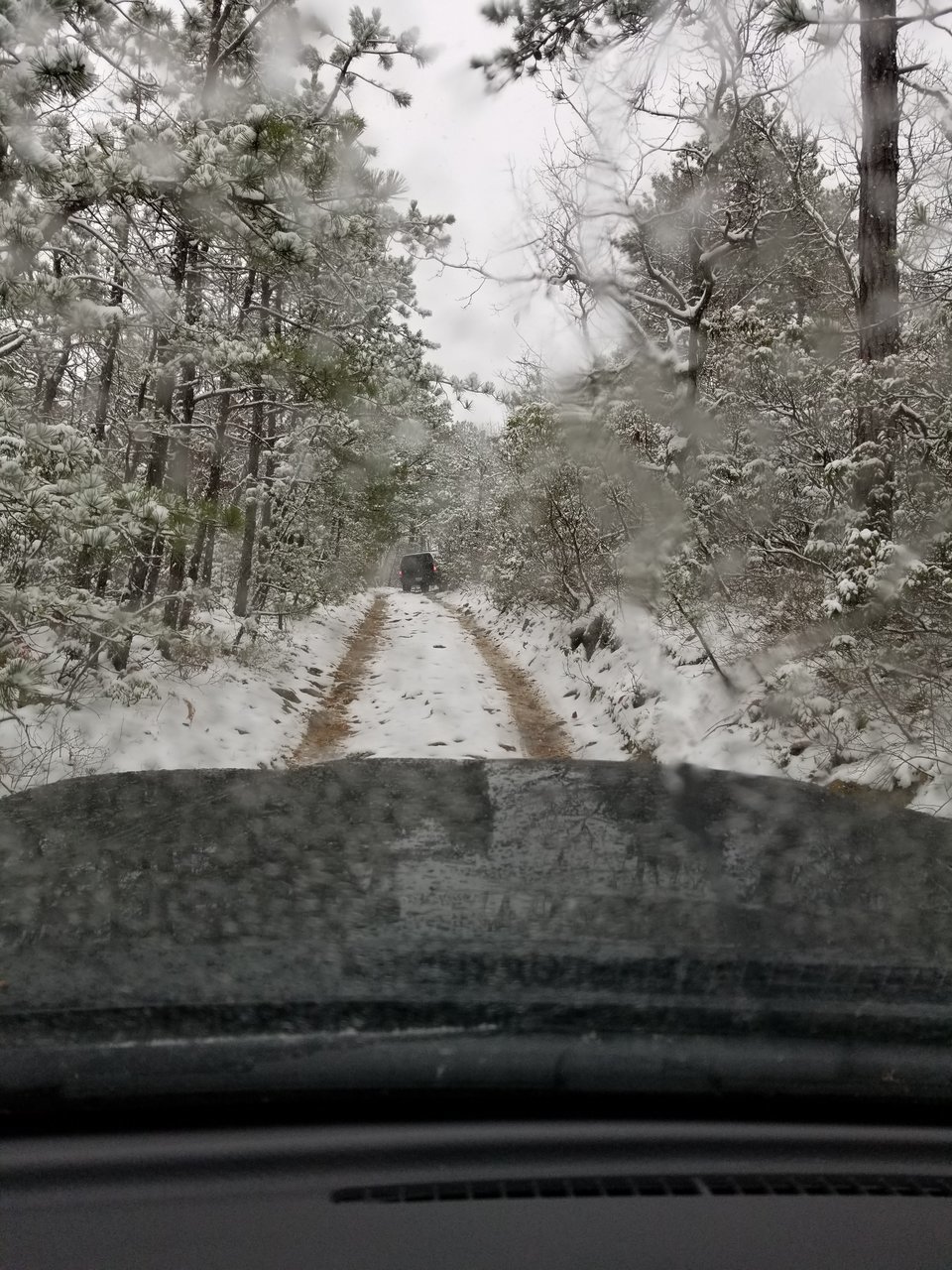 bald mtn 11.jpg