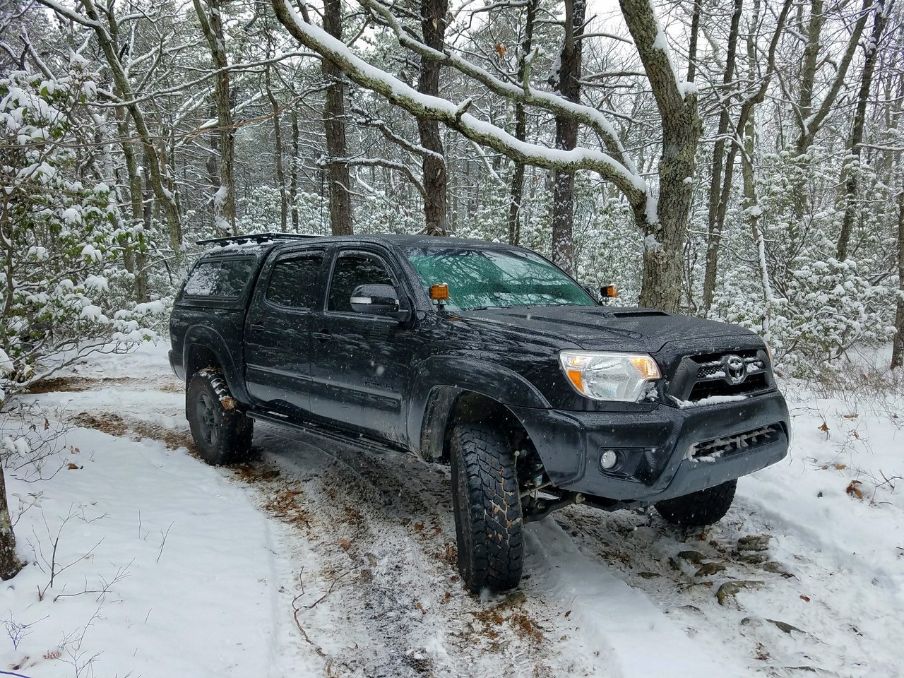 bald mtn 3.jpg