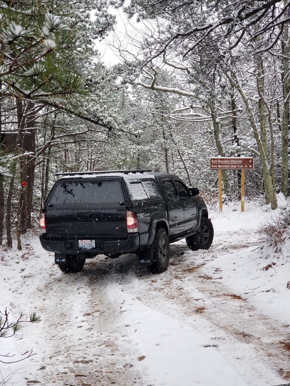 bald mtn 9.jpg