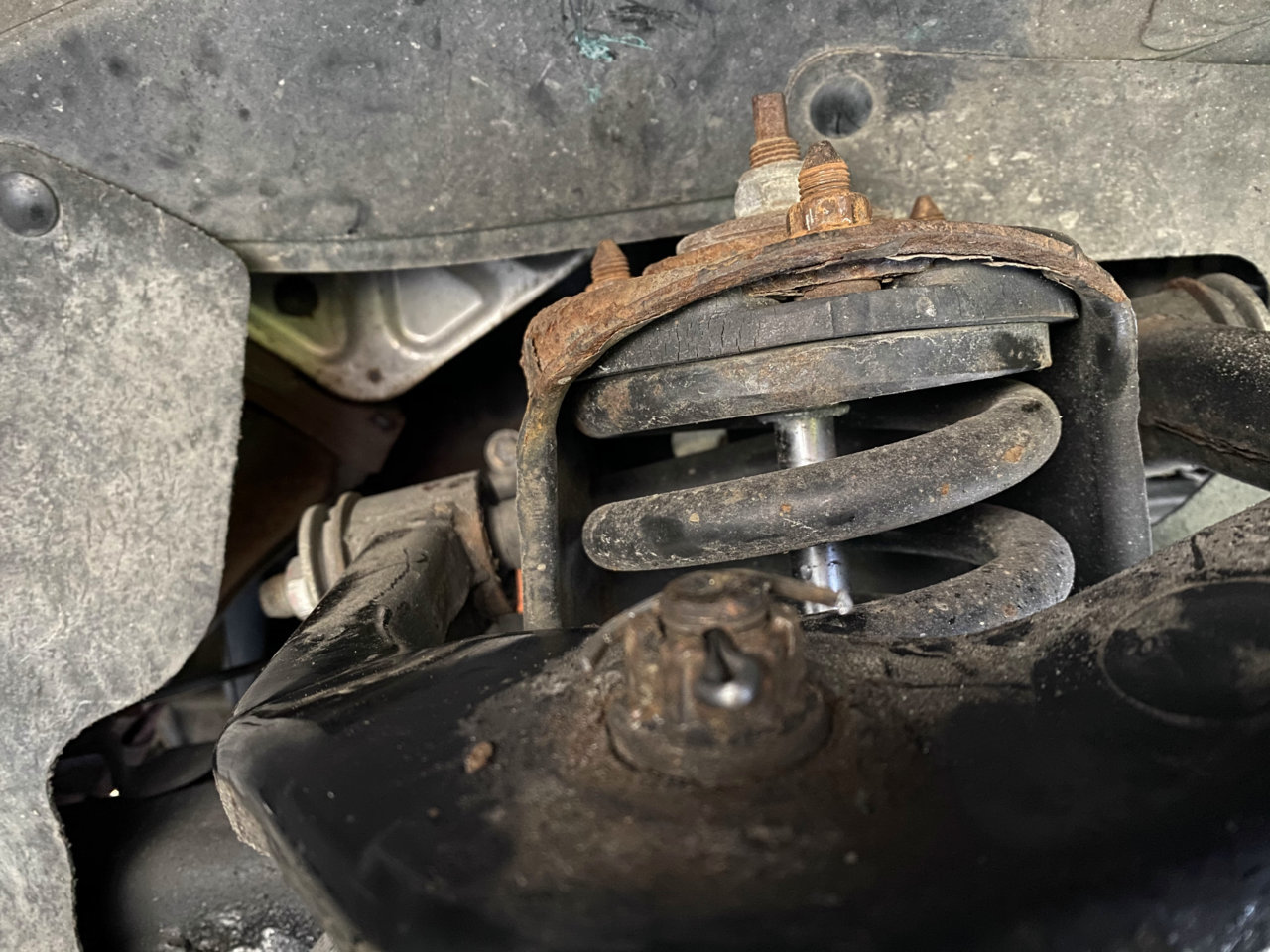 baljoint 2.HEIC.jpg