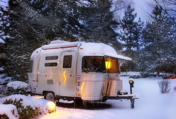 bambi-in-snow.jpg