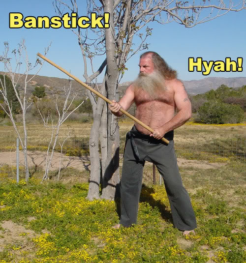 BAN-stick.jpg