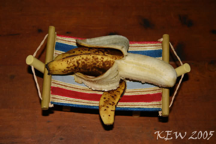 banana_hammock_41fe2c755d421ad56b554881f299b3ea575f6b12.jpg