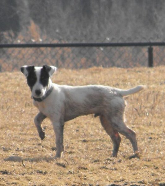 BANDITMARCH2009.jpg
