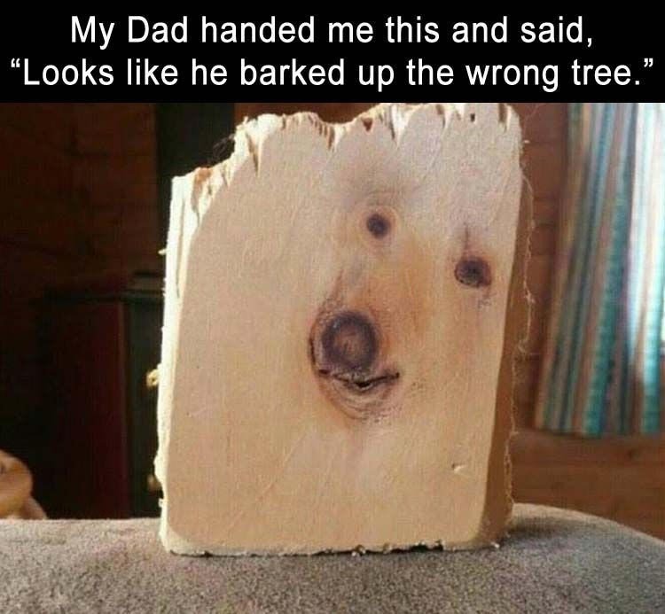 Bark.jpg
