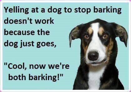 Barking Dog.jpg