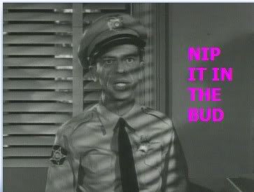 barney20fife_nipit_f8b384b6d67455ca1454d096ab0a661ef33b4e97.jpg