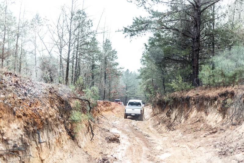 barnwell-0335.jpg