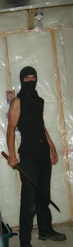 BasementNinja_b9442f263c566ea20e01cb5b45b92fbfcc1fa30e.jpg